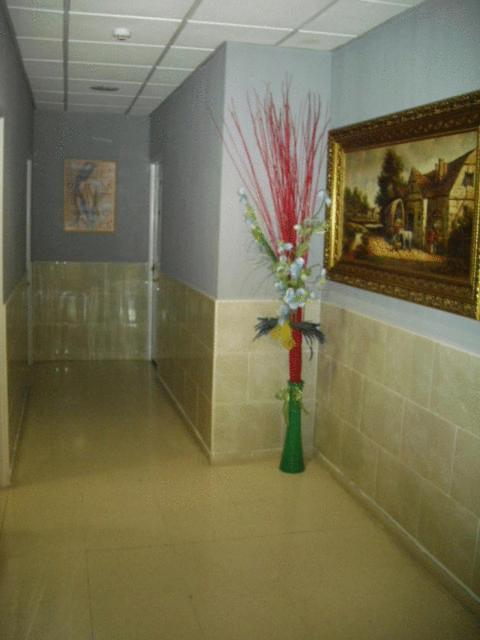 Hostal DS Velilla de San Antonio Buitenkant foto